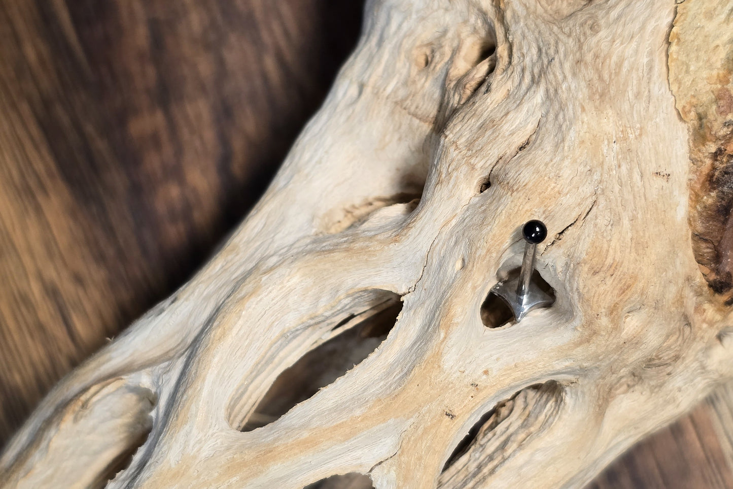 Black Round Bead Titanium Threadless Earring