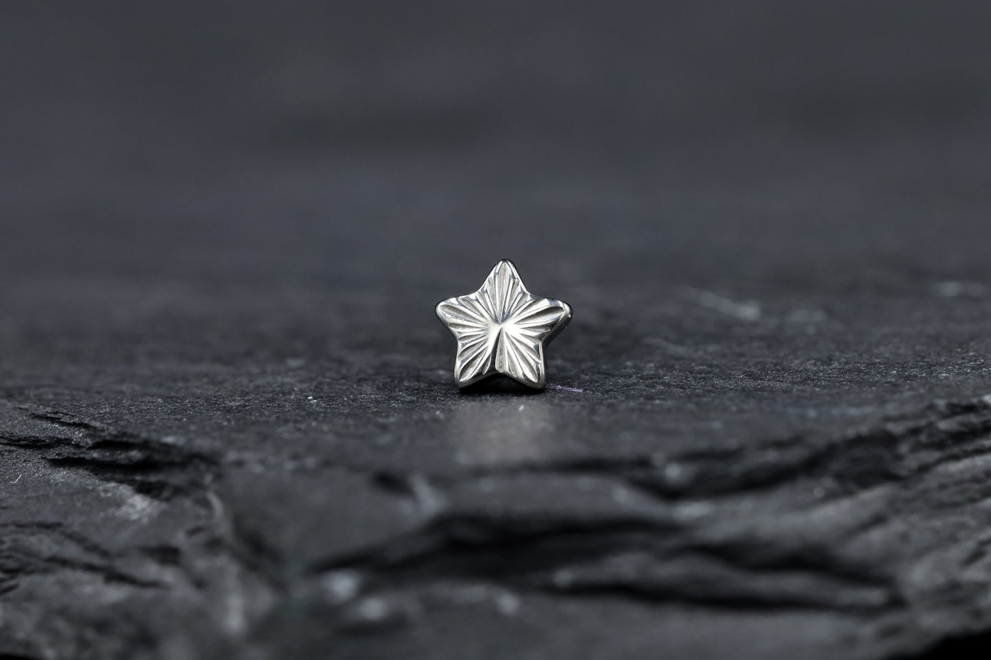 Cut Star Titanium Threadless Earring