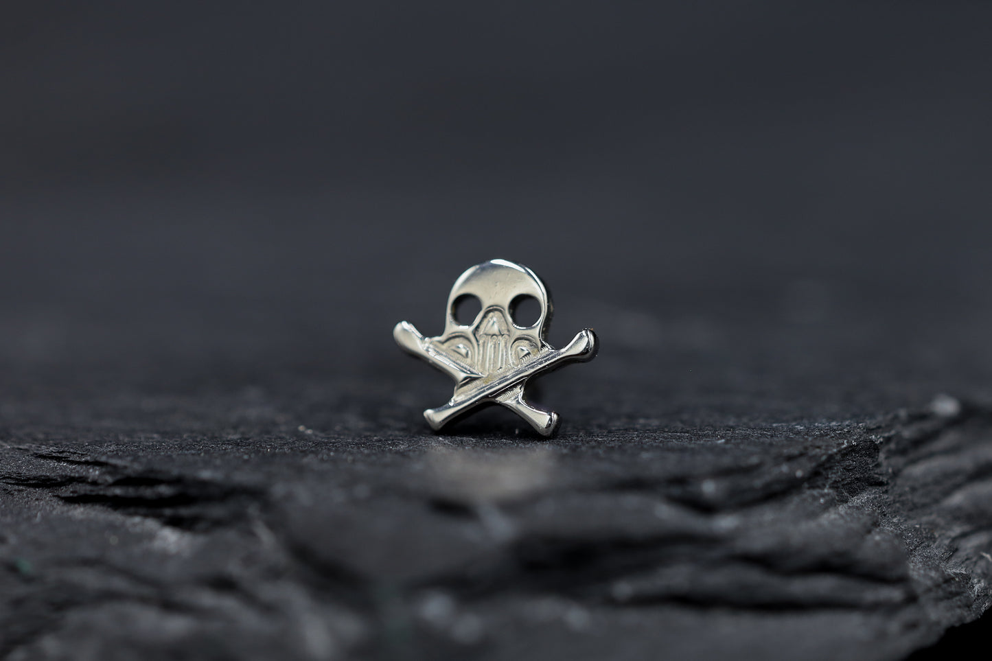 Skull & Crossbones Titanium Threadless Earring