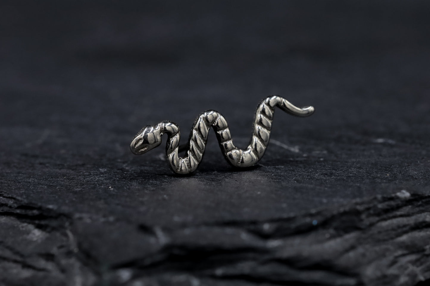 Titanium Snake Threadless Earring
