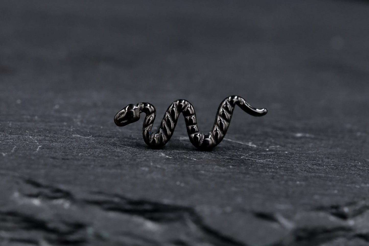Black Snake Titanium Threadless Earring