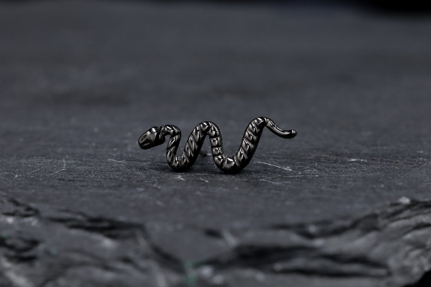 Black Snake Titanium Threadless Earring