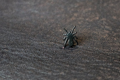 Black Spider Titanium Threadless Earring