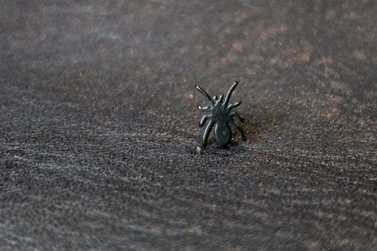 Black Spider Titanium Threadless Earring
