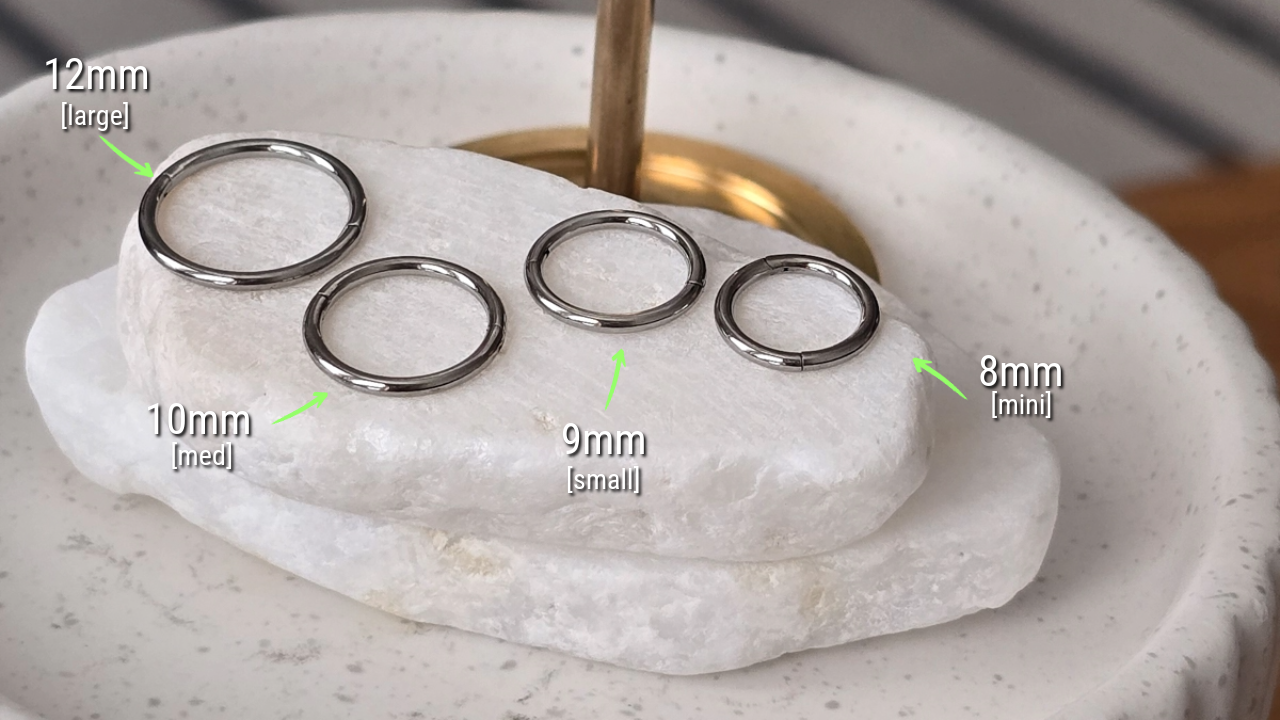 Titanium Hinge Hoop Earring