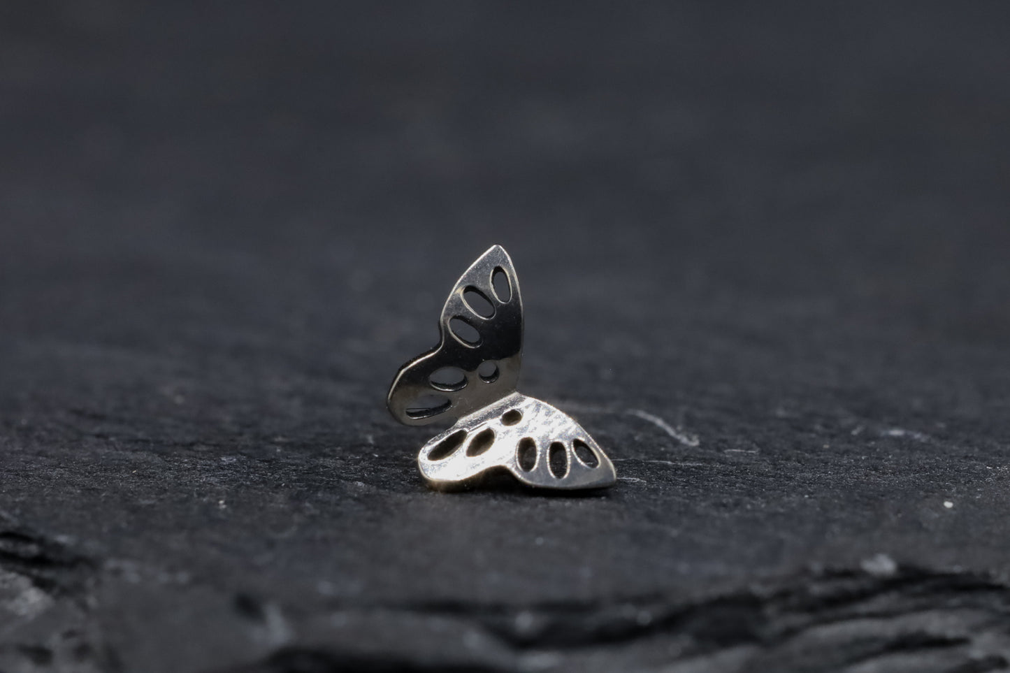3D Titanium Butterfly Threadless Earring
