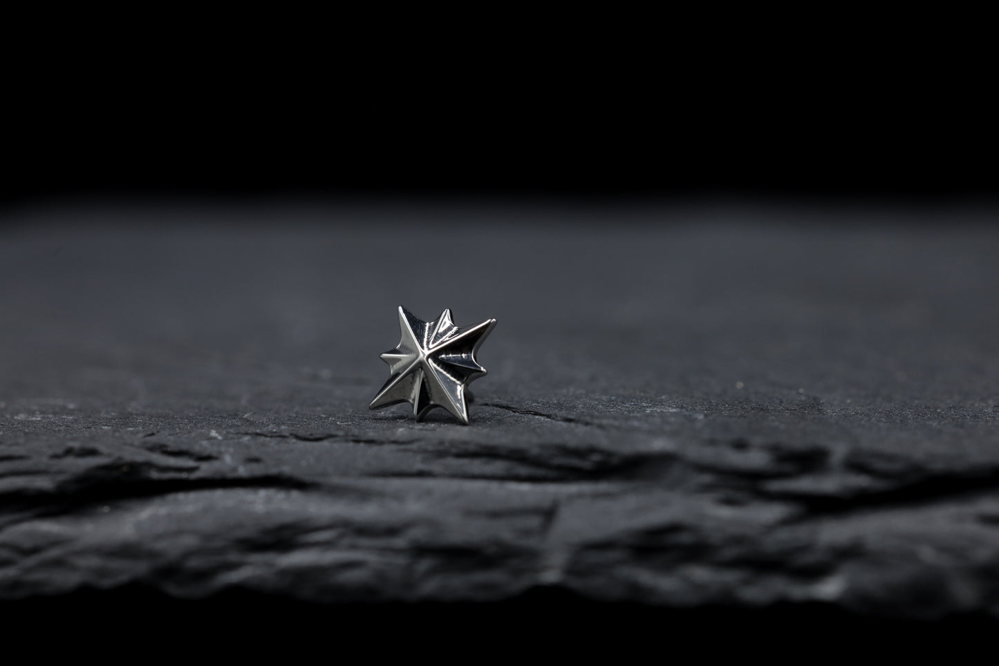 Starburst Titanium Threadless Earring