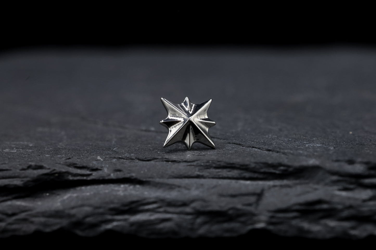 Starburst Titanium Threadless Earring