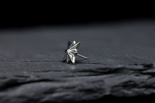 Starburst Titanium Threadless Earring