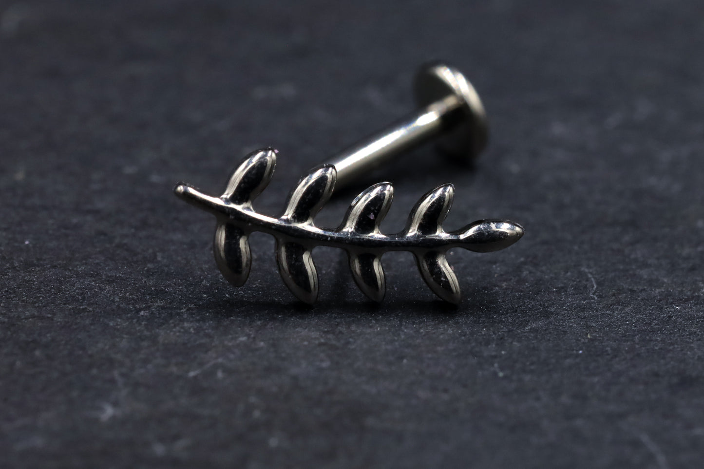 Curved Leaf Branch Titanium Threadless Earring