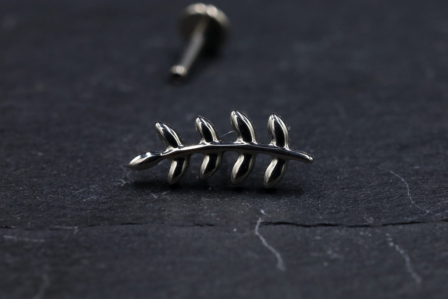 Curved Leaf Branch Titanium Threadless Earring