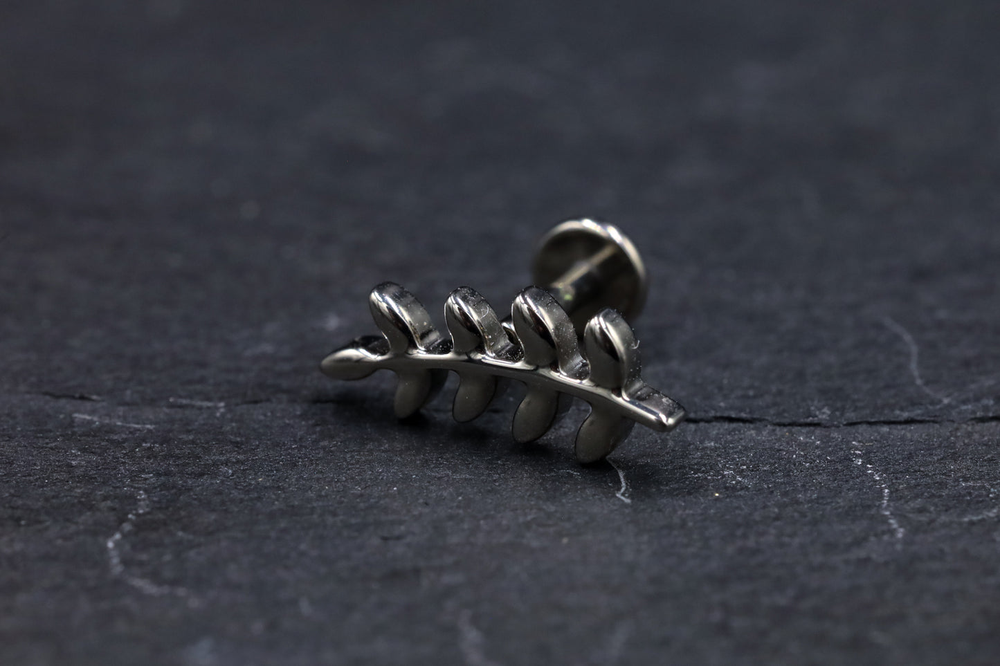 Curved Leaf Branch Titanium Threadless Earring