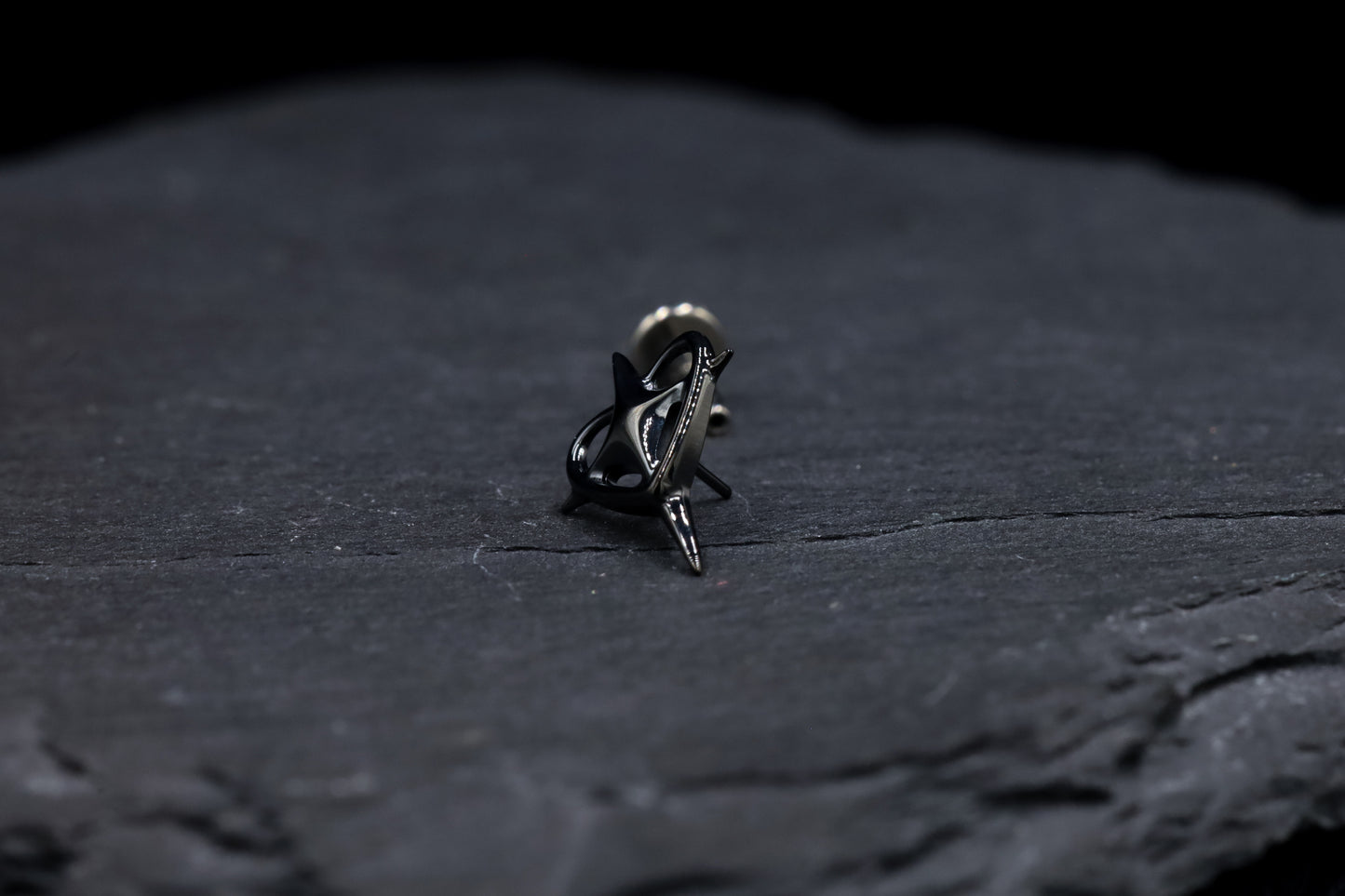 Large Black Heart-Star Titanium Threadless Earring