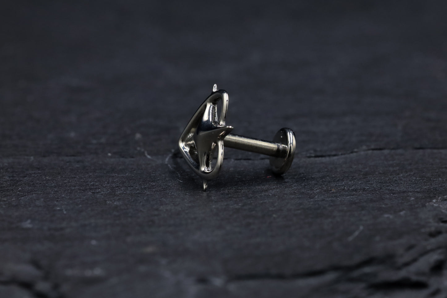 Large Titanium Heart-Star Threadless Earring