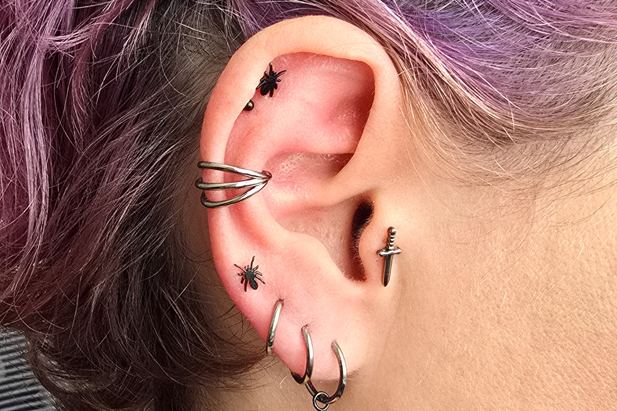 Black Spider Titanium Threadless Earring