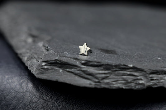 Small Star Titanium Threadless Earring