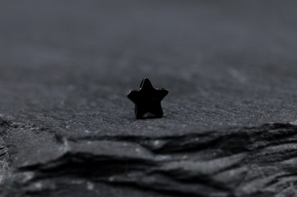 Small Black Star Titanium Threadless Earring