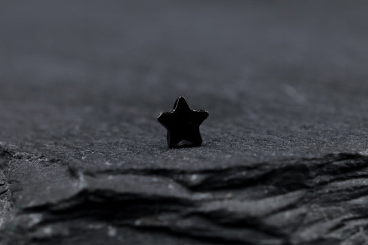 Small Black Star Titanium Threadless Earring