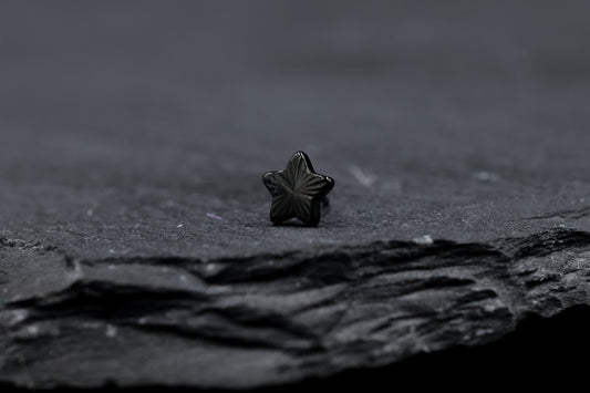 Black Cut Star Titanium Threadless Earring