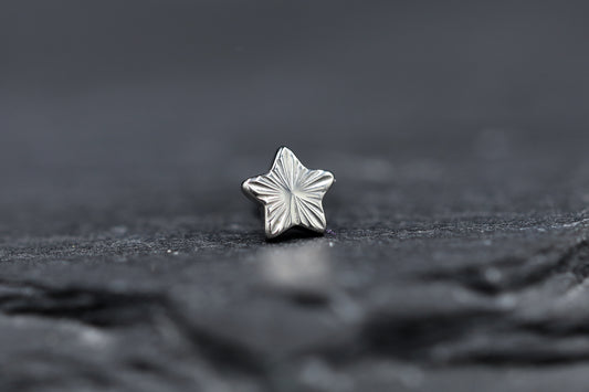 Cut Star Titanium Threadless Earring