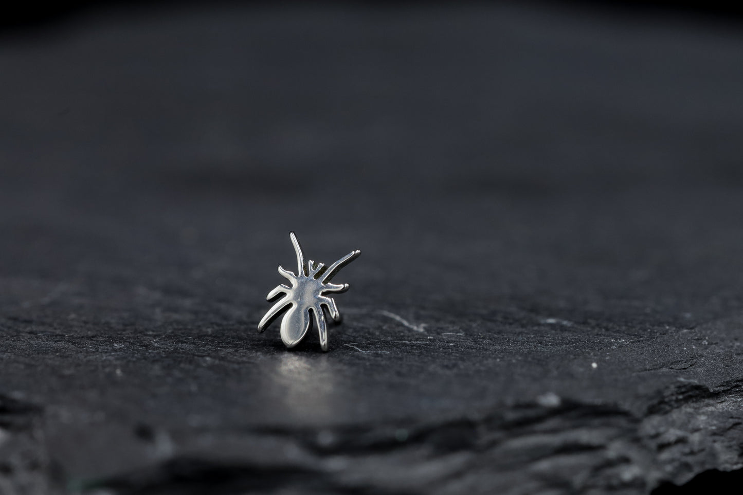 Titanium Spider Threadless Earring