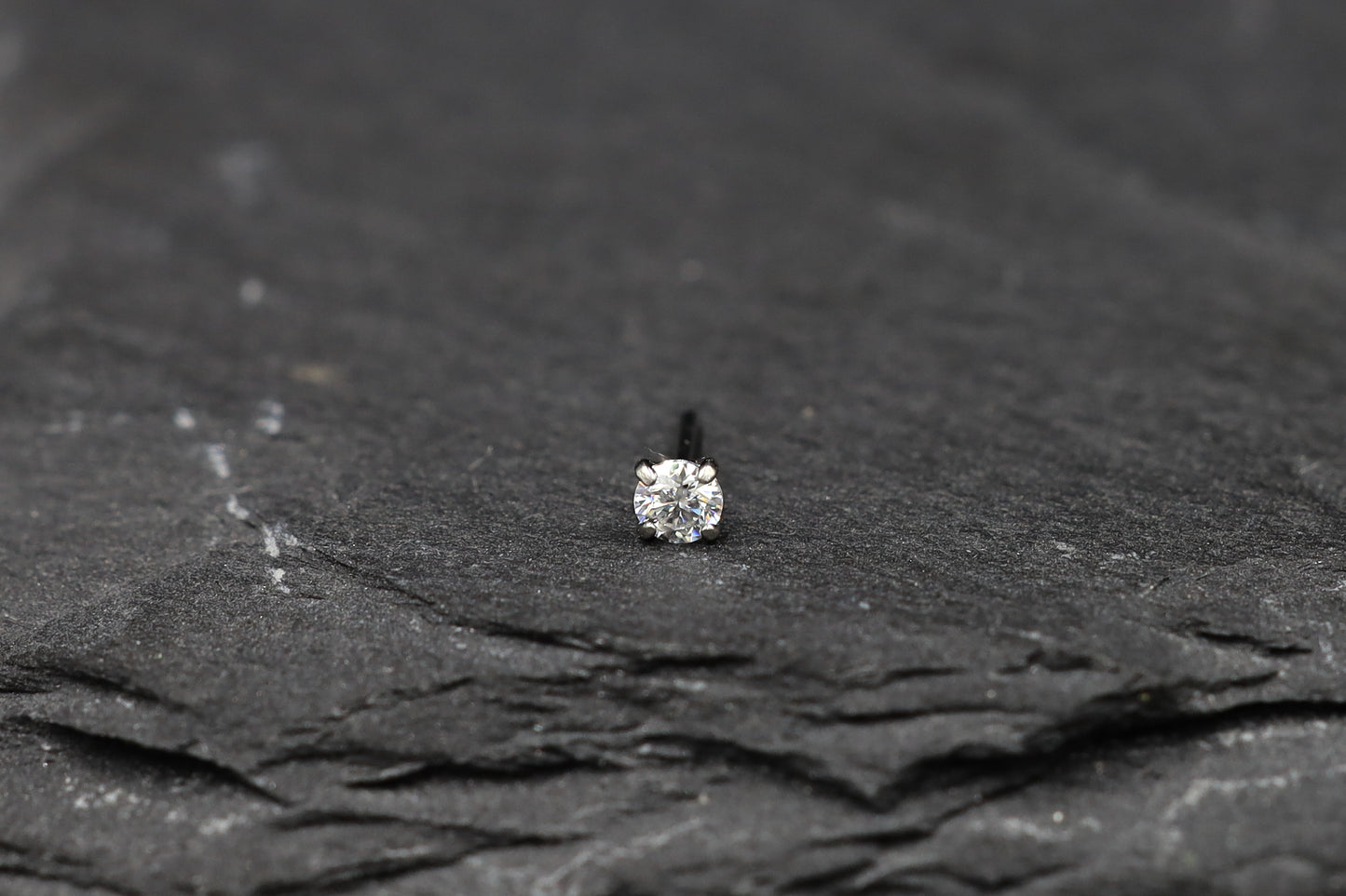 Round Prong-set Moissanite Titanium Threadless Earring