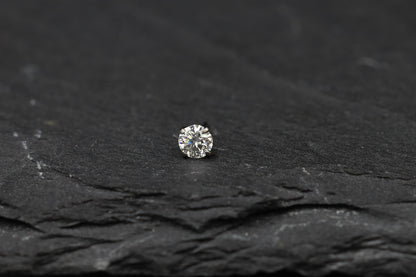 Round Prong-set Moissanite Titanium Threadless Earring