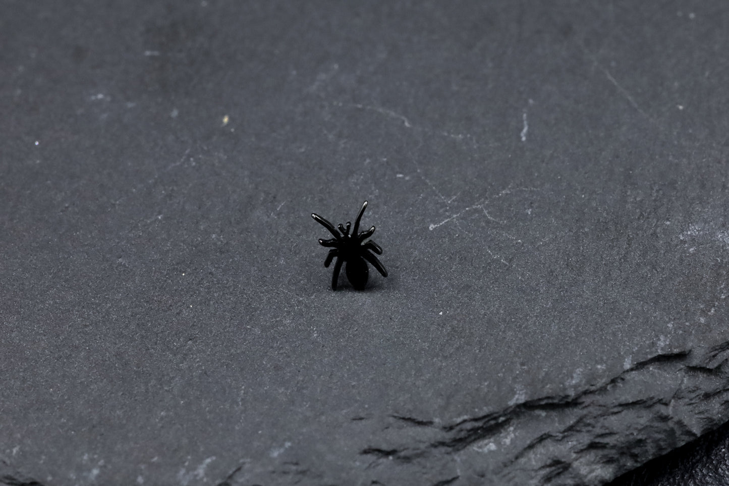 Black Spider Titanium Threadless Earring
