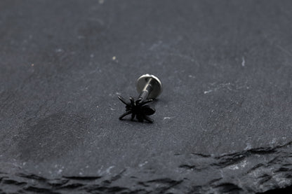 Black Spider Titanium Threadless Earring