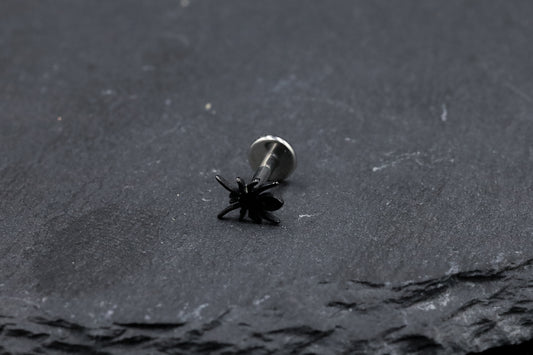 Black Spider Titanium Threadless Earring